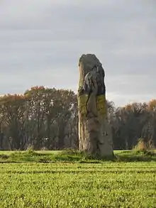 Menhir Pierre du Domaine