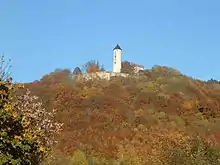 Burg Plesse heute