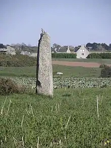 Menhir d’Irvit