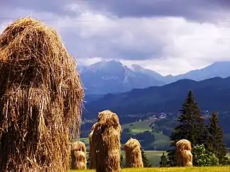 Gubałówka von Norden mit der Westtatra im Hintergrund