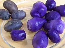 Gekochte Kartoffeln (Vitelotte)