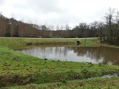 Frühjahrsüberschwemmung am Pré Pinson entlang der D 939