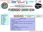 Interne Notationsregeln für die Bezeichnung einer PRISM-Abfrage