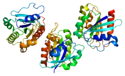 ADP-ribosylation factor-like protein 6