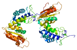 ADP-ribosyl cyclase/cyclic ADP-ribose hydrolase 1