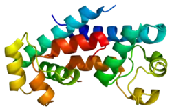 CD81 antigen