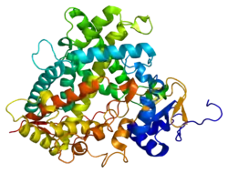 Cytochrom P450 1A2