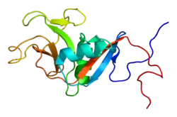 Low affinity immunoglobulin epsilon Fc receptor