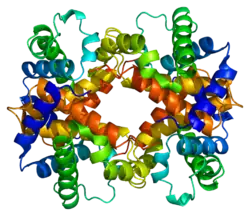 Δ-Globin