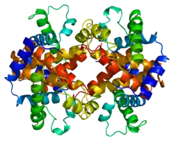 Ε-Globin