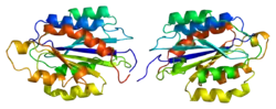 Integrin alpha-2