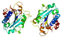 Integrin alpha-M