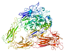 Integrin beta-3