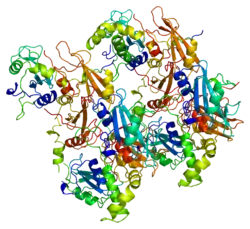 Tyrosine-protein kinase SYK