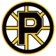 Logo der Providence Bruins