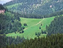 Weg auf der Alm Przysłop Miętusi