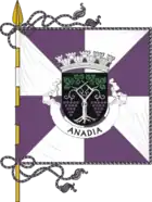 Flagge des Concelhos Anadia