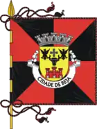 Flagge des Concelhos Beja