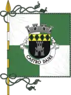 Flagge des Concelhos Castro Daire