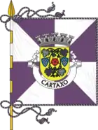 Flagge des Concelhos Cartaxo