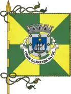 Flagge des Concelhos Figueira da Foz