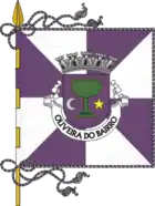 Flagge von Oliveira do Bairro