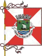 Flagge von Peso da Régua