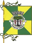 Flagge des Concelhos Tondela