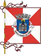 Flagge des Concelhos Santa Maria da Feira