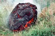 Frische Lavabombe am Kīlauea-Vulkan auf der Insel Hawaii, Hawaii, 1983