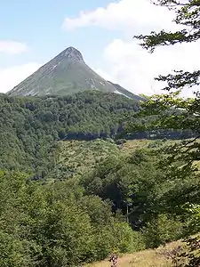 Puy Griou