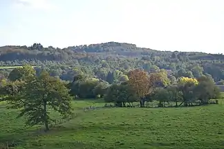 Der 534 Meter hohe Puy de Bar