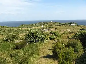 Puysegur Point mit dem Leuchtturm im Hintergrund