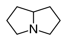 Pyrrolizidin