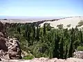 Durch die Quebrada de Jerez fließt das Wasser, das Toconao zur Oase macht.