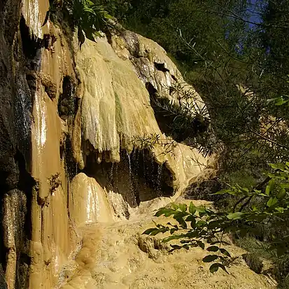 Quelltuff in Lingenau im Bregenzerwald, Vorarlberg.Der weitaus größte Anteil des gesamten aktiven Quelltuffvorkommens wurde von Cyanobakterien (Gattung Rivularia) ausgefällt. Das Quellwasser mündet in die Bregenzer Ache