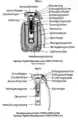 Querschnitt der DM51 und Zünder DM82/82A1B1