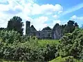 Ruine der St. Finghin’s Church