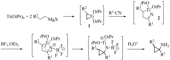 Szymoniak variation reaction mechanism