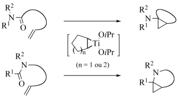 de Meijere variation intramolecular