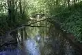 Die obere Schelde im Naturschutzgebiet bei Cantaing<sur-Escaut