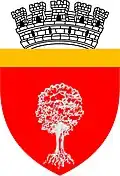 Wappen von Onești