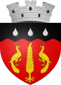 Wappen von Ștefănești (Botoșani)