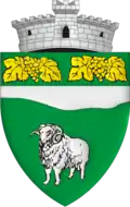 Wappen von Ciuchici