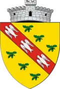 Wappen von Slatina-Timiș