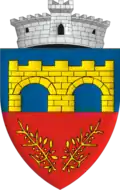 Wappen von Chichiș