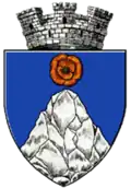 Wappen von Târgu Cărbunești