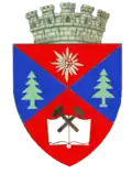 Wappen von Petroșani