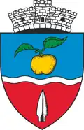 Wappen von Batoș