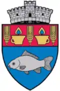 Wappen von Șăulia